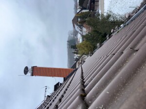 IMG_0343