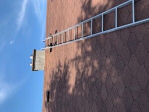 IMG_1938