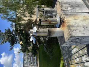 IMG_2210